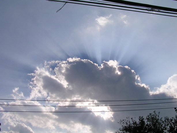 radial luce1 resize