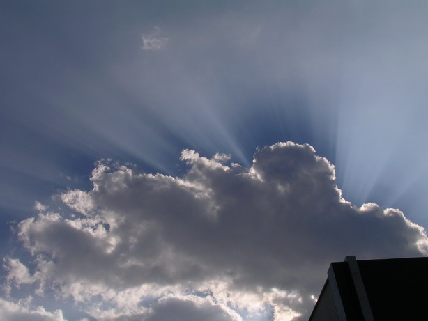 radial luce2 resize