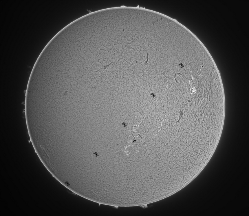 suncross resized